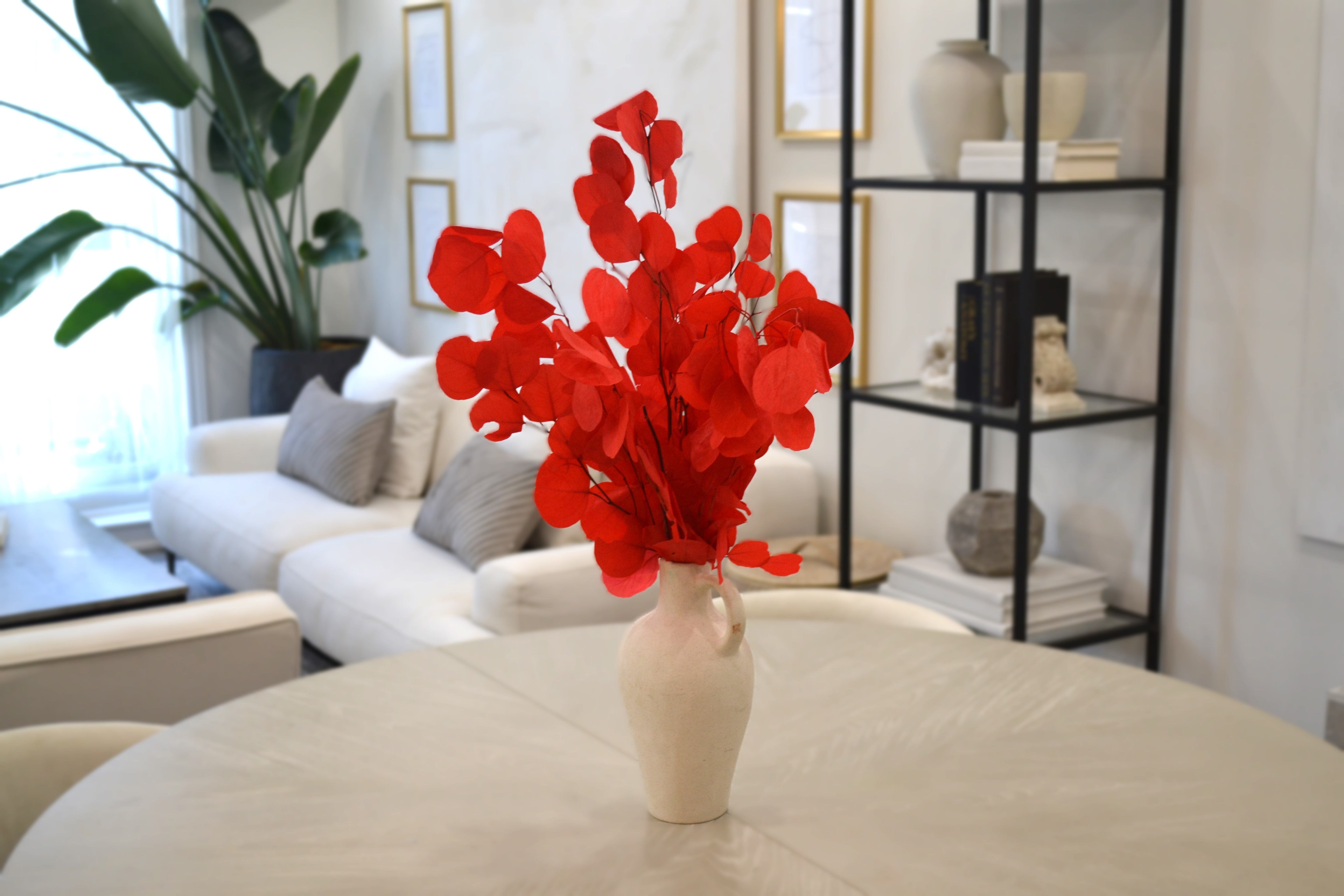 Silver Dollar Eucalyptus